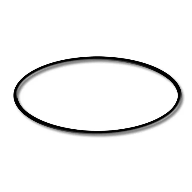 sunsun-cpf-280-cpf-380-cpf-500-joint-torique-filtre-bassin image 1