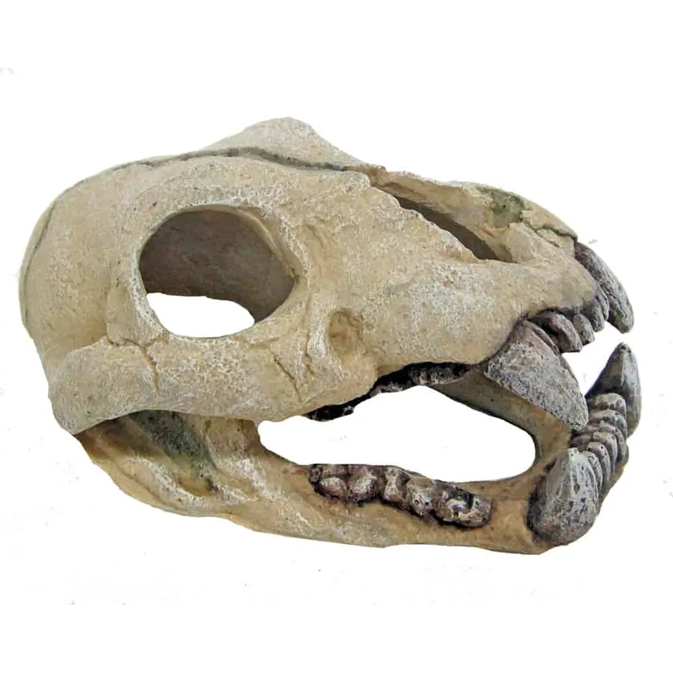 amtra-reef-rock-teschio-di-giaguaro-d-coration-aquarium-r-sine-15-cm image 1
