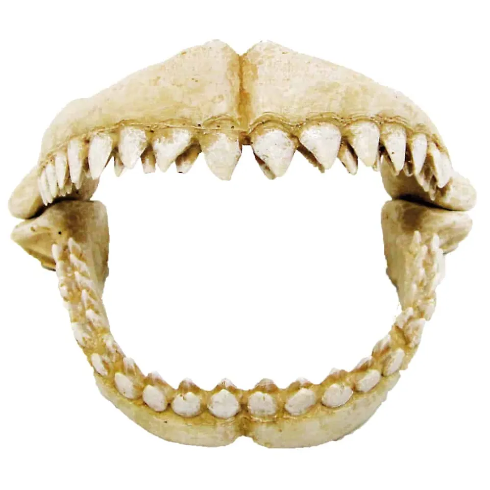 amtra-reef-rock-dents-de-requin-d-co-aquarium-r-sine-m image 1