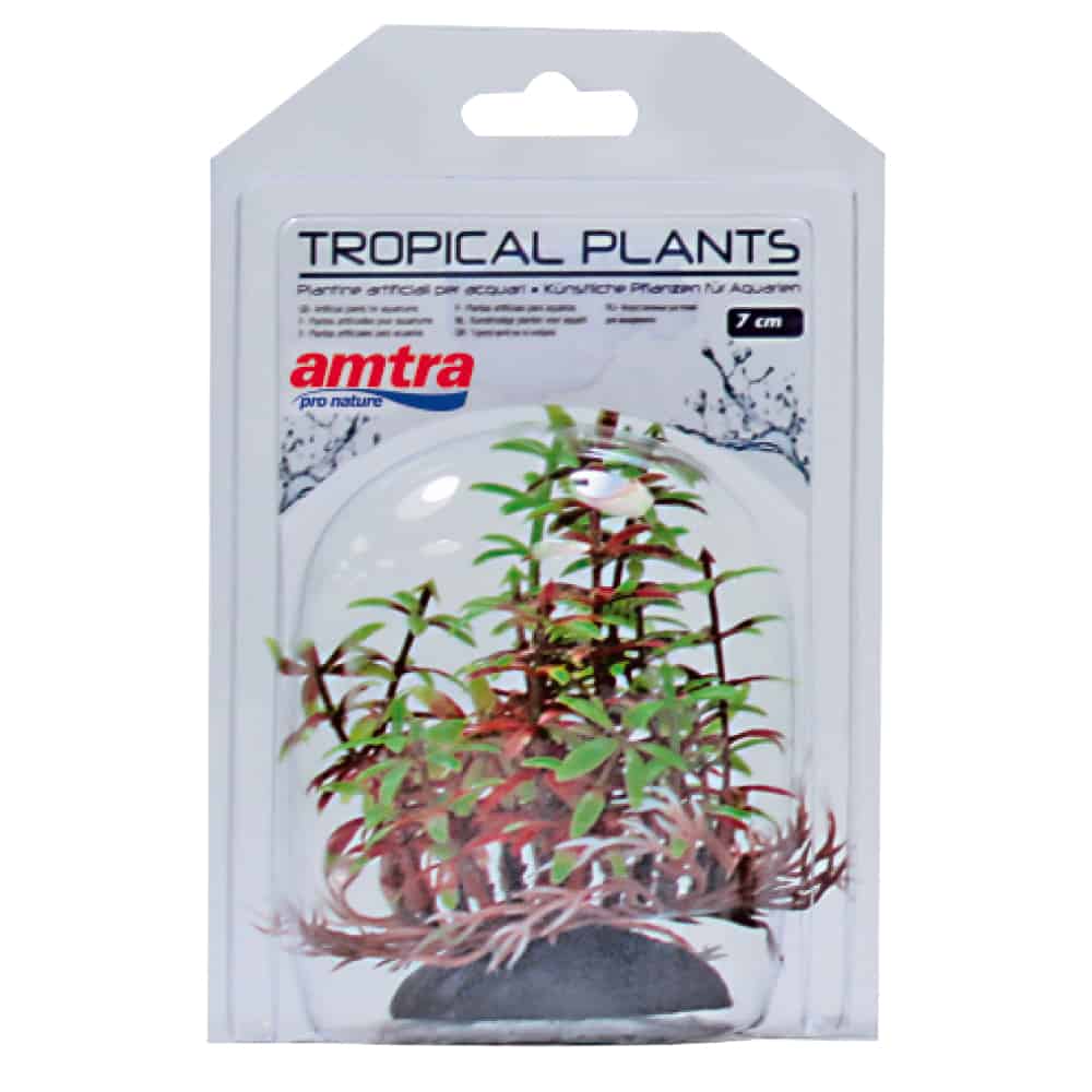 amtra-tropical-plant-7-cm-plante-aquarium-plastique image 2