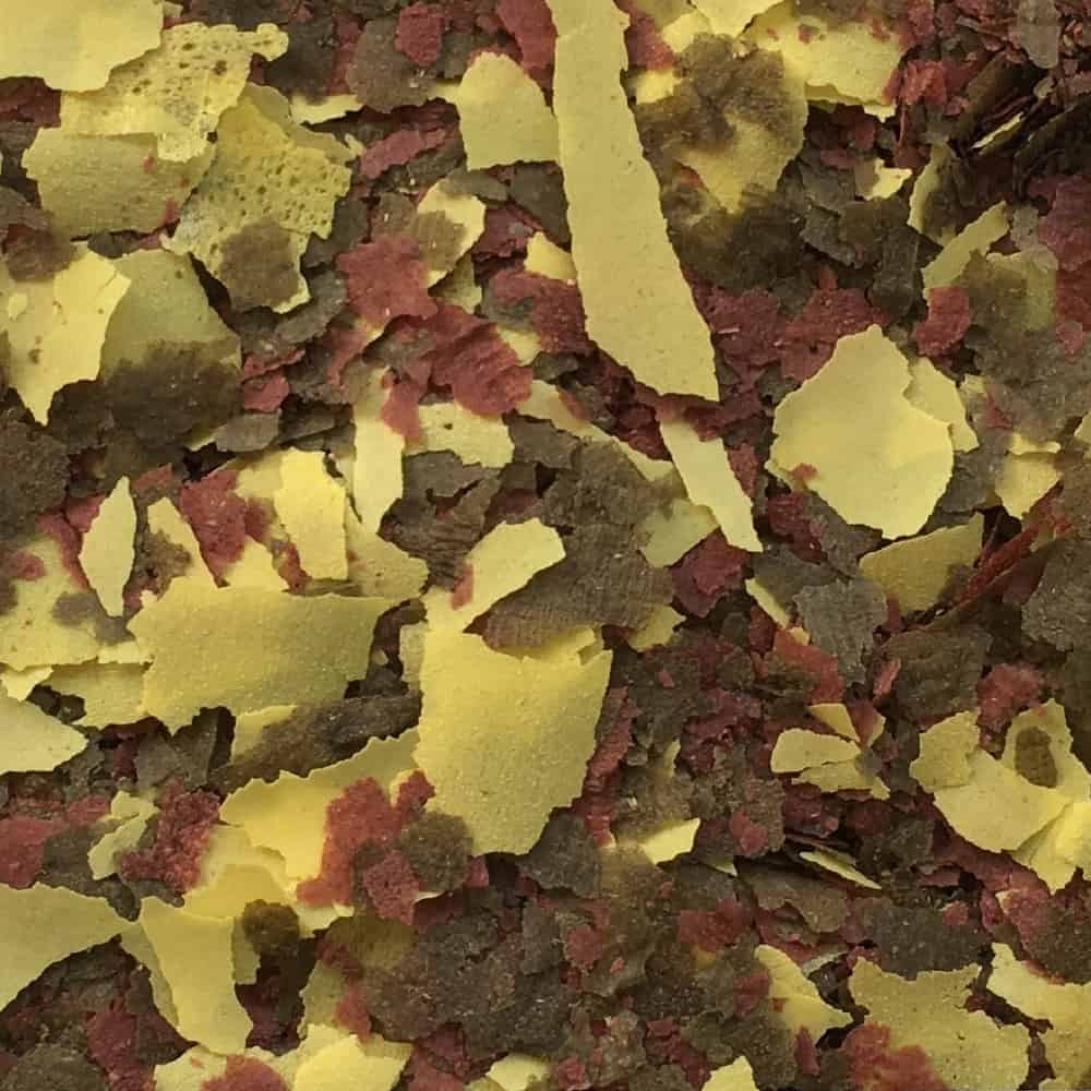 amtra-frost-pro-oranda-flake-nourriture-poisson-rouge-100-ml image 2