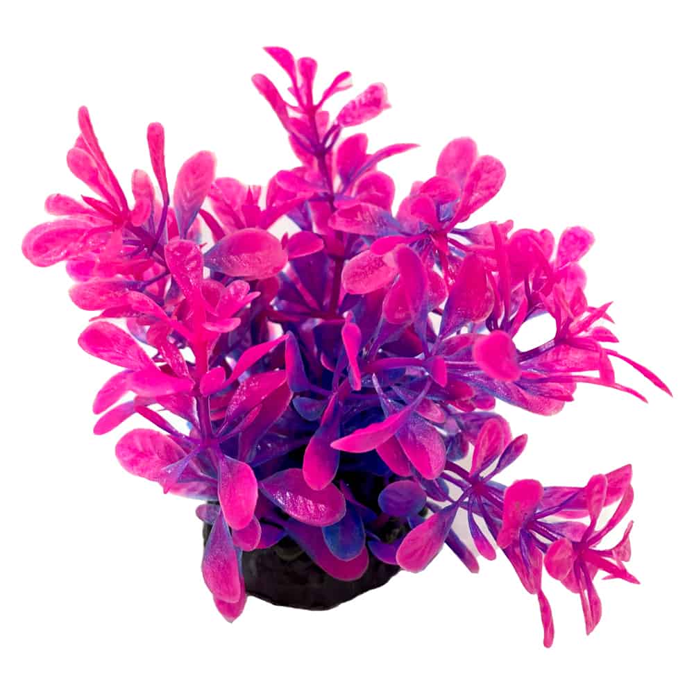 amtra-tropical-plant-plante-artificielle-8-cm-d-cor image 8