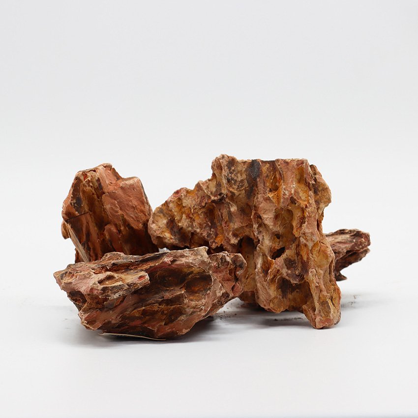 amtra-reef-rock-bamboo-roche-aquarium-naturelle image 2