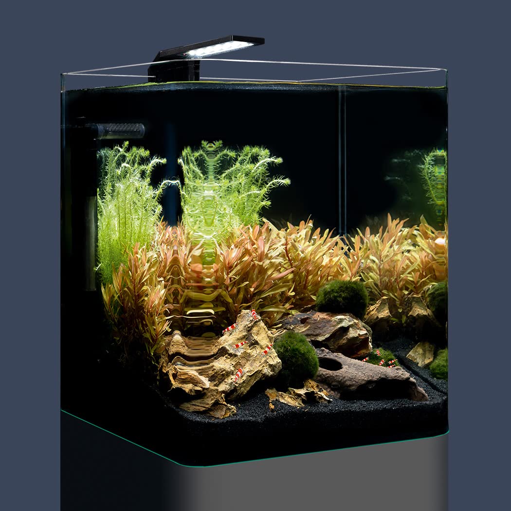 dennerle-nano-cube-basic-aquarium-nano-20-l-avec-filtre image 2