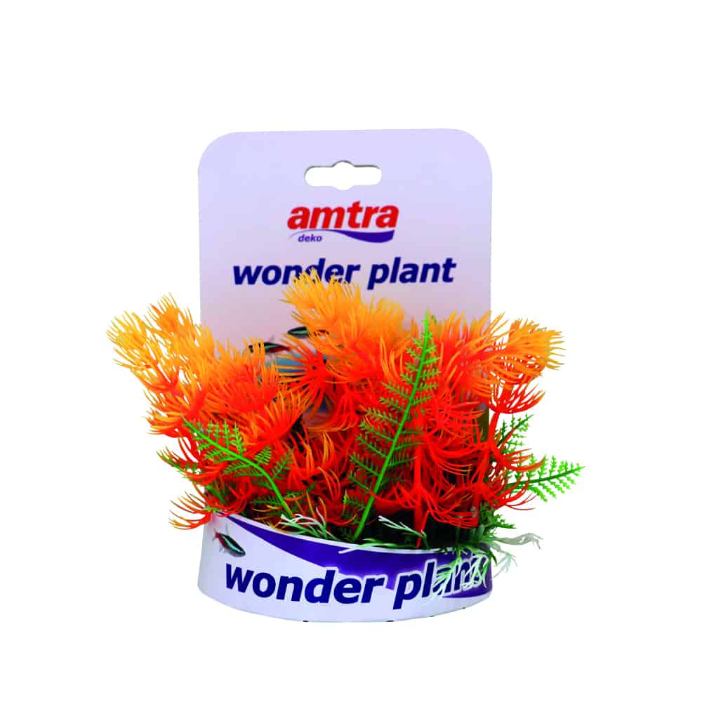 amtra-wonder-plant-s-rie-c-plante-aquarium-15-18-cm-plastique image 4