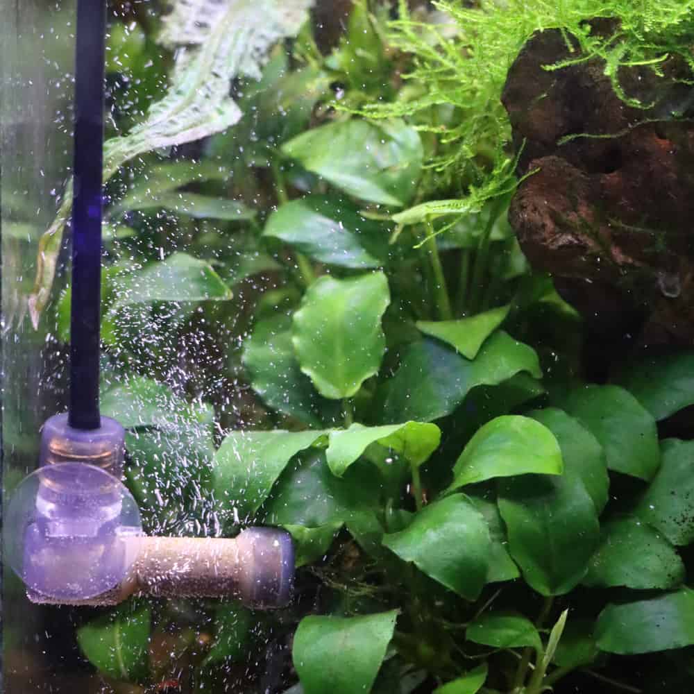 amtra-co2-system-bazooka-diffuseur-co2-aquarium image 2