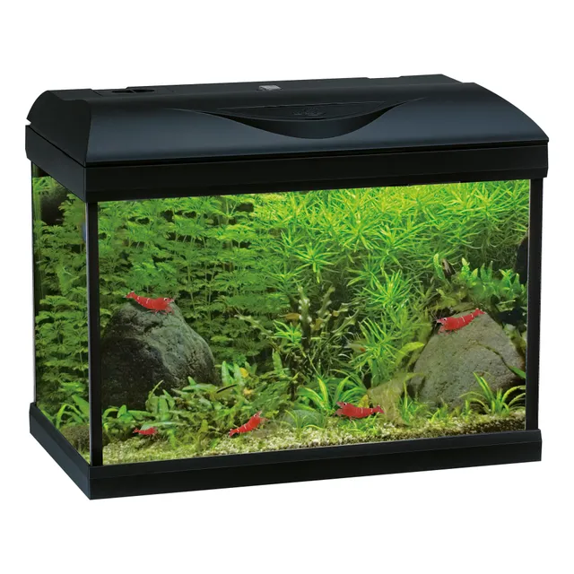 amtra-system-basic-led-aquarium-25l-blanc-avec-filtre image 1