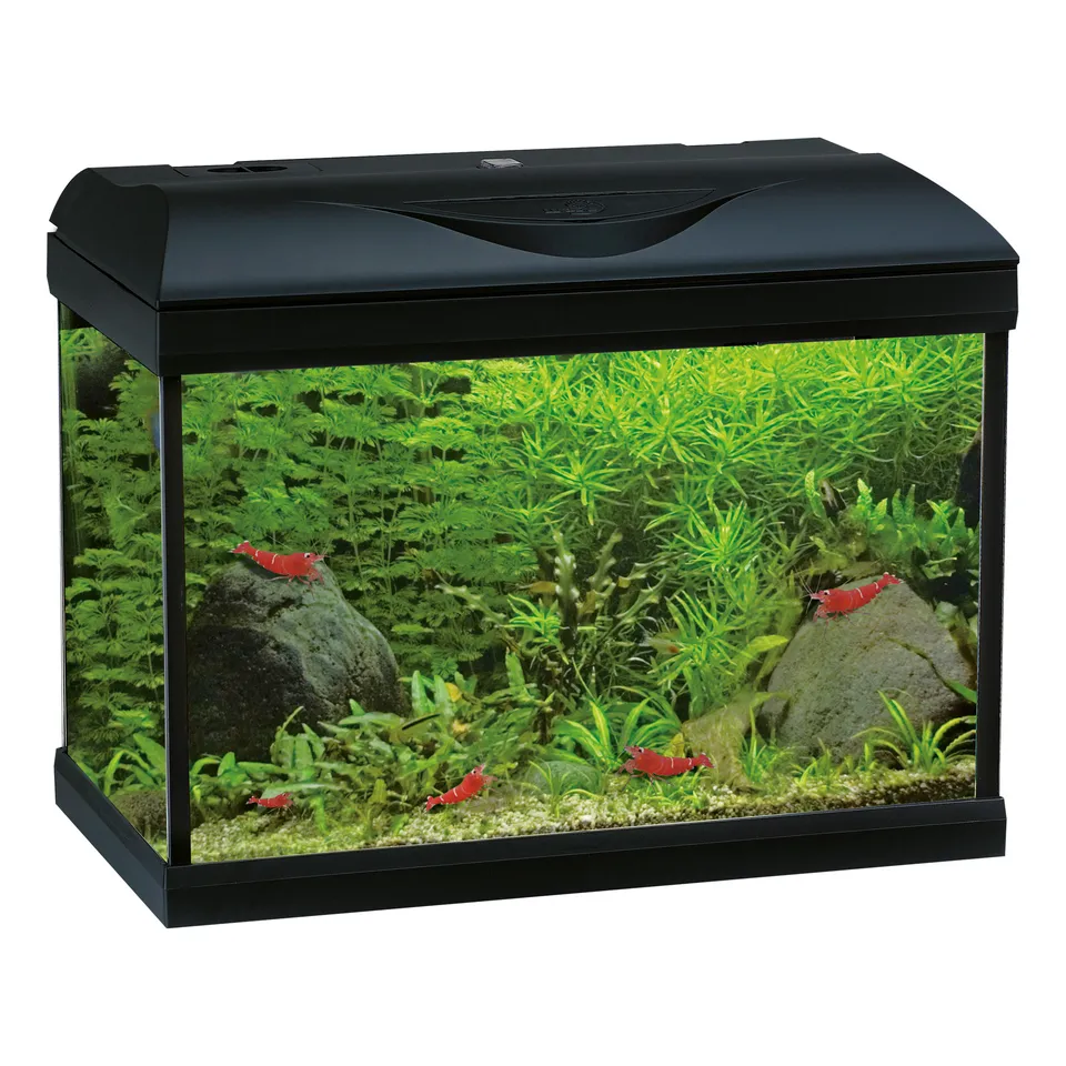 amtra-system-basic-led-aquarium-25l-blanc-avec-filtre image 1