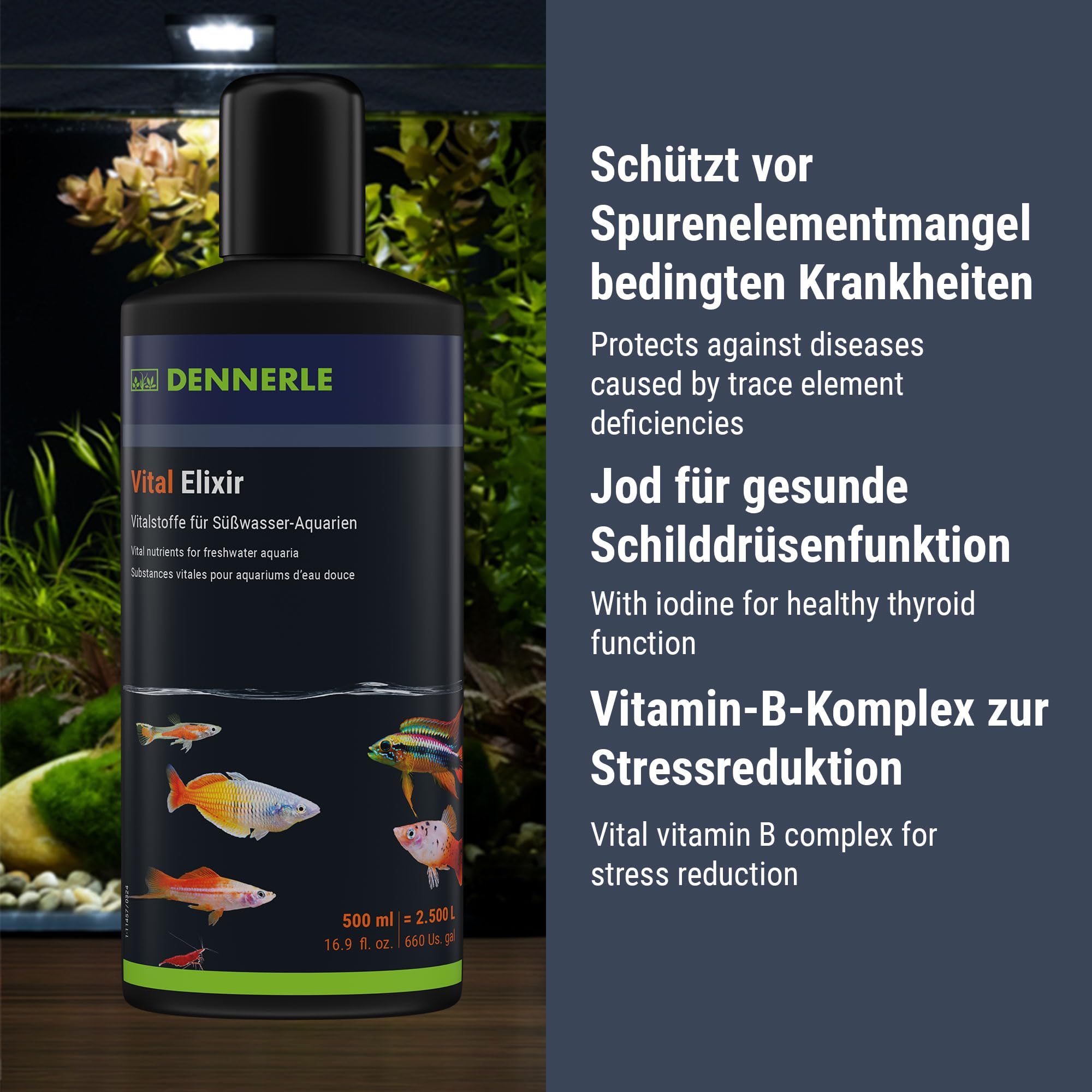 dennerle-vital-elixir-conditionneur-500-ml-vitamines image 4