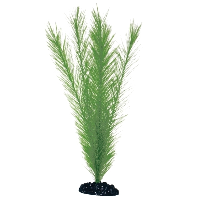 amtra-plant-classic-blyxa-plante-aquarium-verte image 4