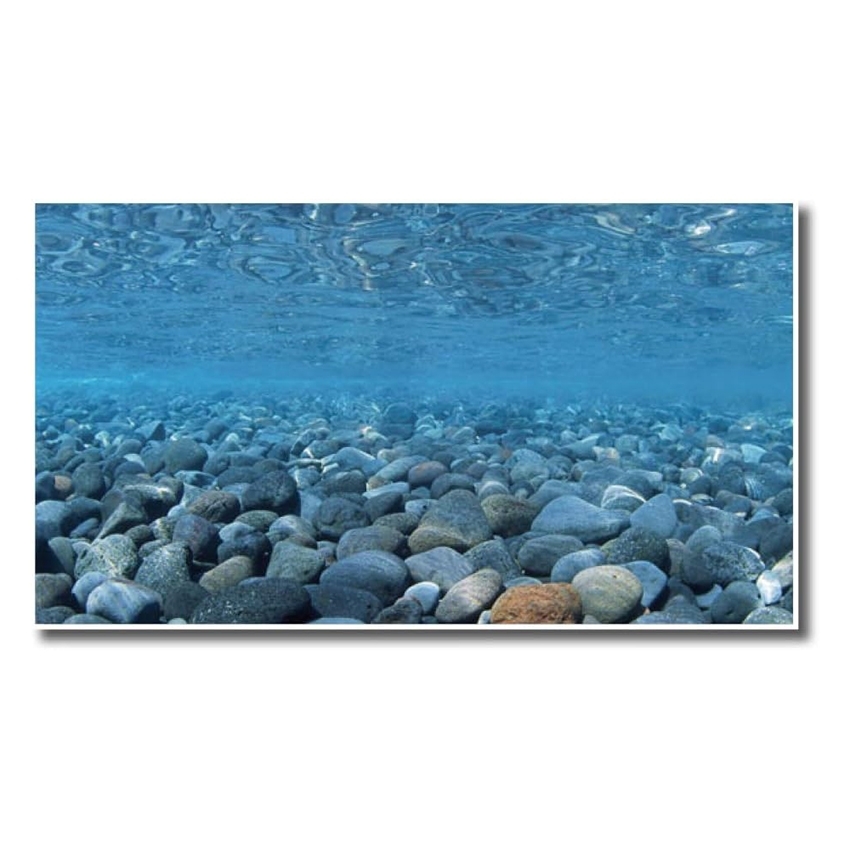 amtra-vision-fond-aquarium-double-face-45x100-cm-plastique image 3