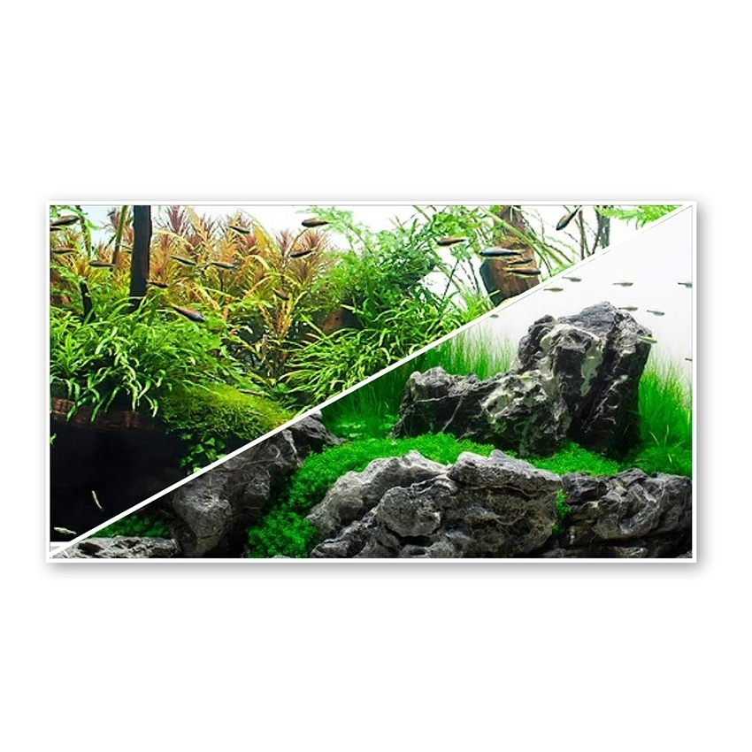 amtra-amazonia-fond-aquarium-double-face-30x60-plastique image 1