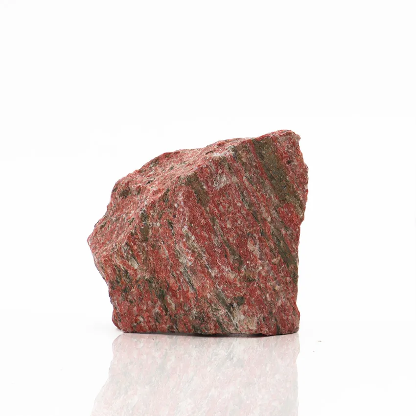 amtra-reef-rock-roche-bois-fossile-10-20-cm-aquascaping image 1