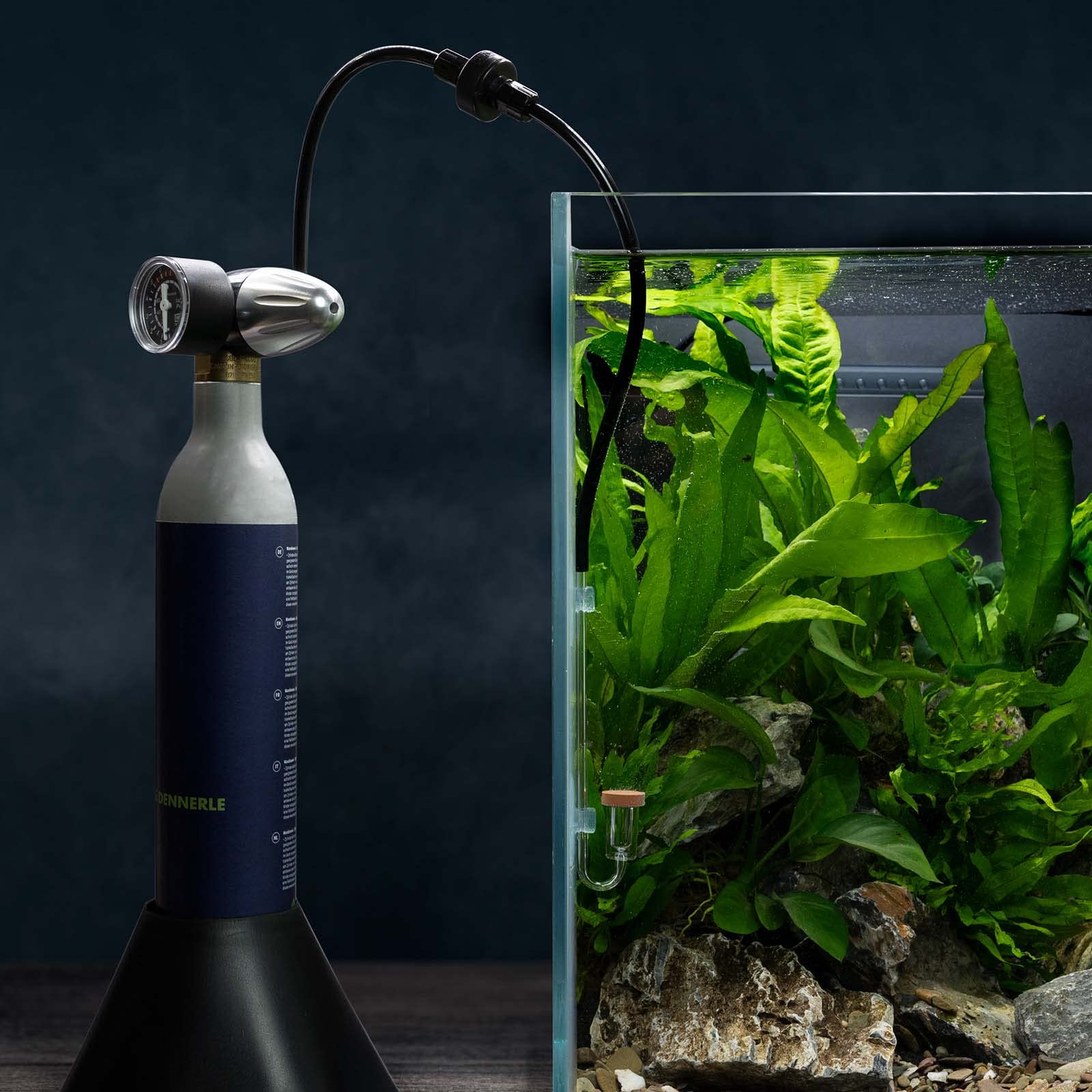 dennerle-co2-carbo-soda-m200-kit-co2-aquarium-200-l image 3