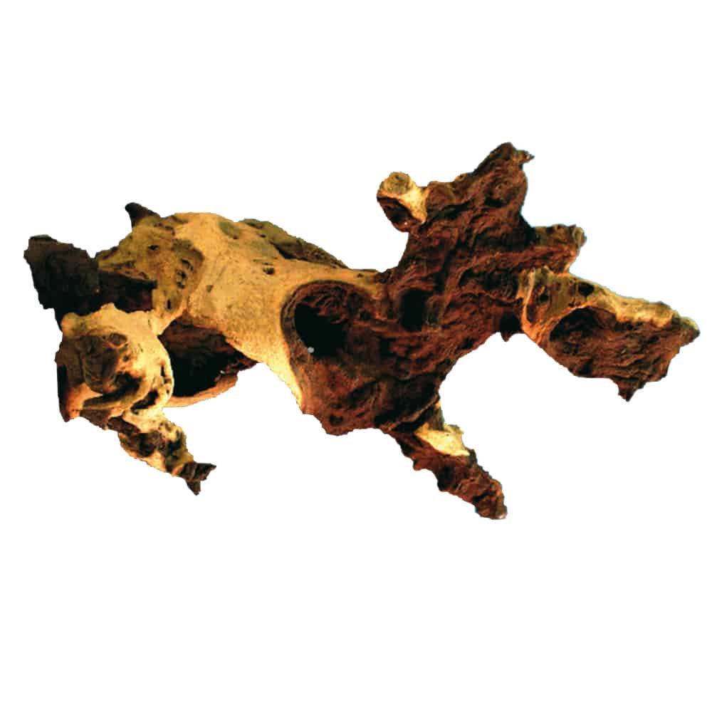 amtra-reef-rock-bois-mopani-naturel-aquarium-terrarium image 1