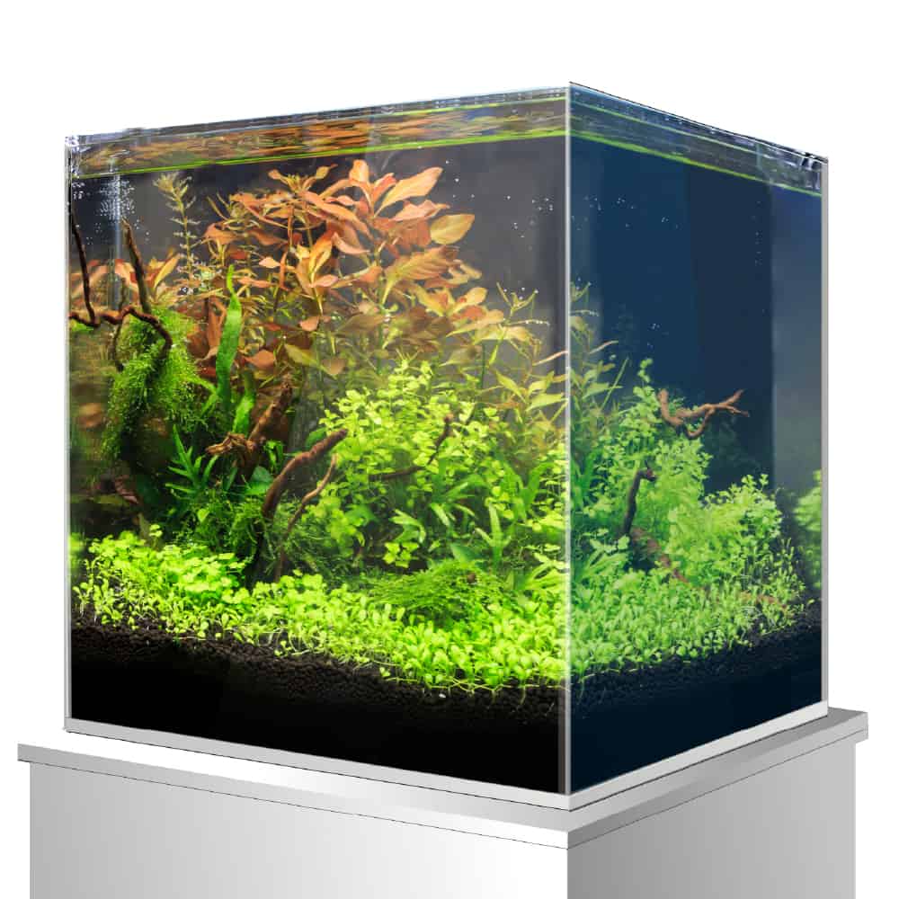 amtra-nanotank-system-nanoscaping-aquarium-verre-15-l image 3