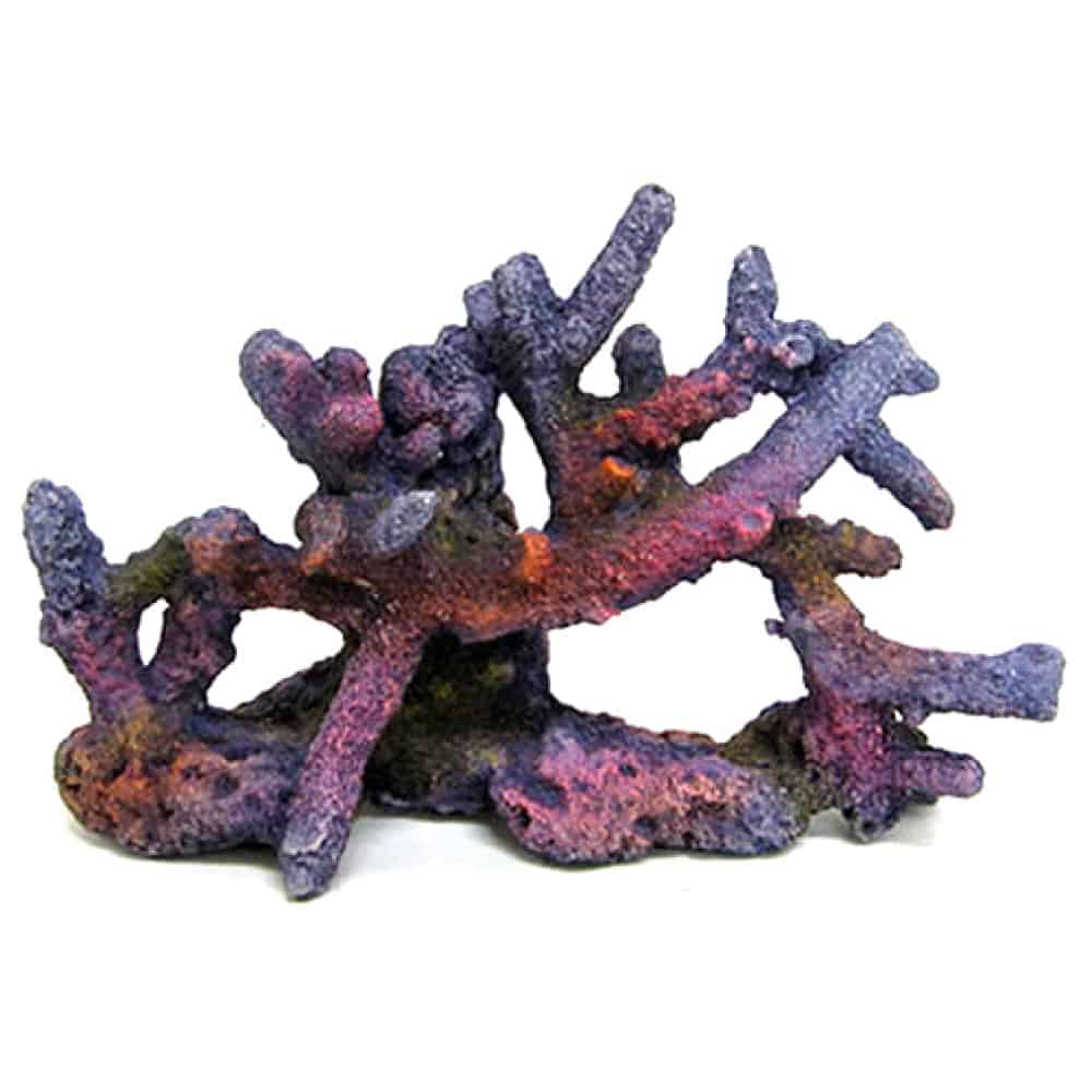 amtra-reef-rock-branch-rocher-r-sine-r-cif-sm image 1