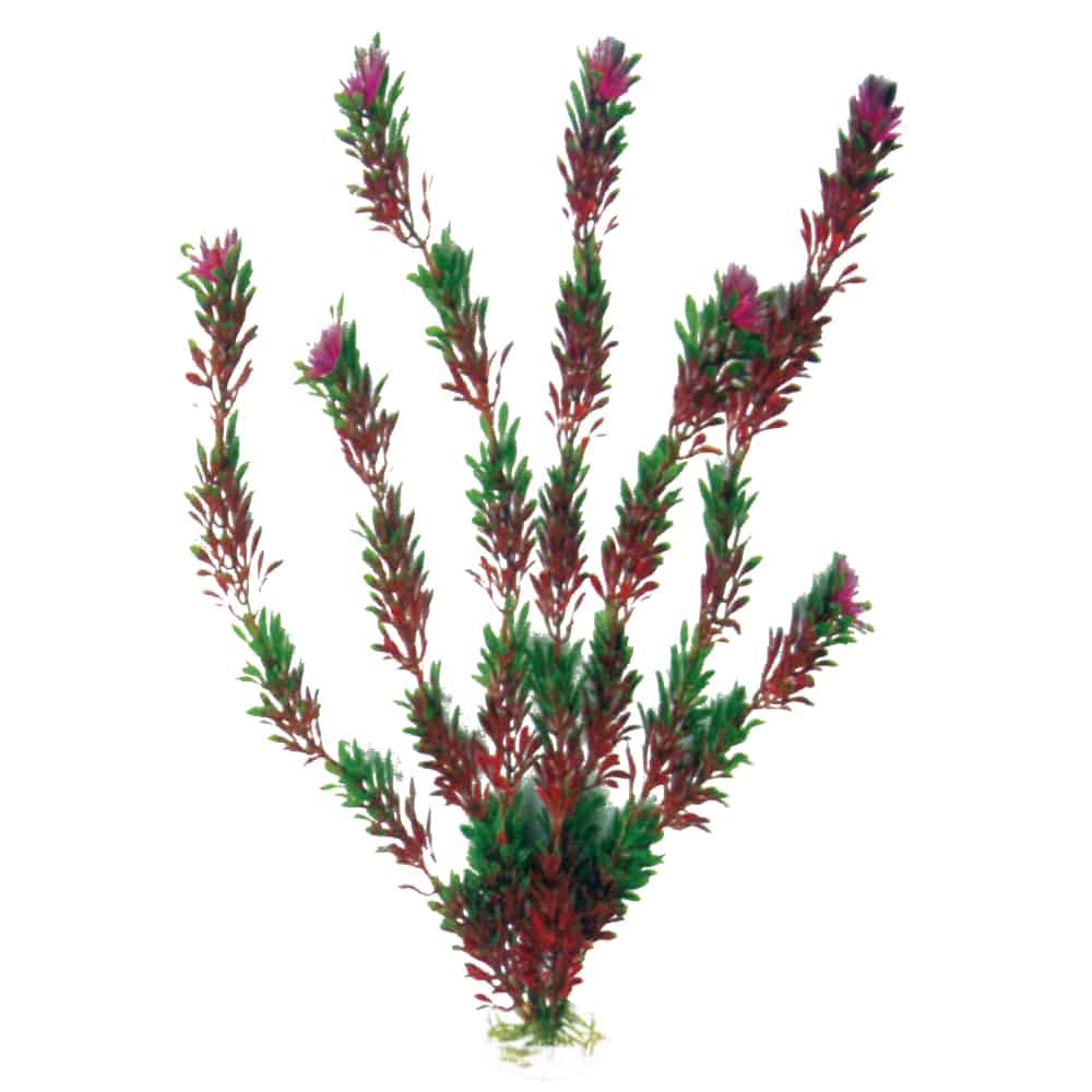 amtra-reef-rock-plant-classic-flora-plante-artificielle-bicolore image 1