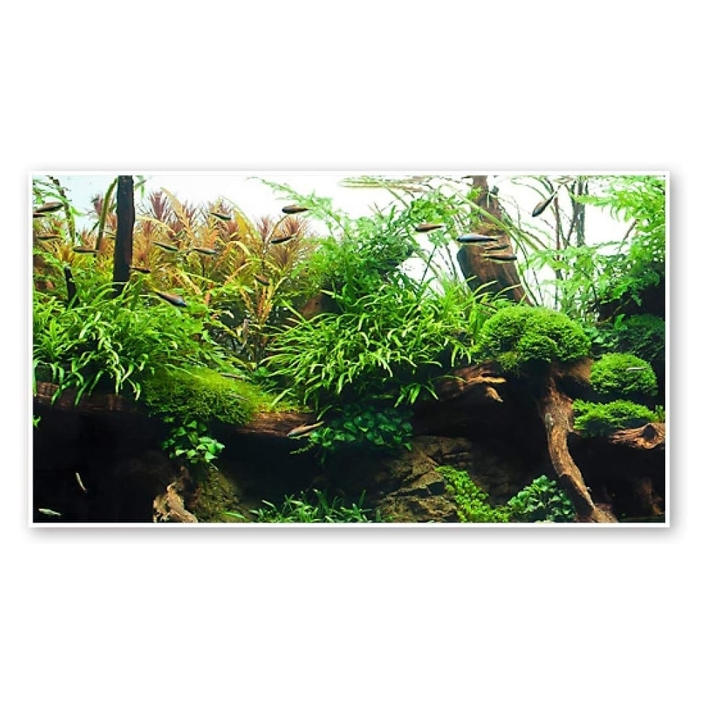 amtra-amazonia-fond-aquarium-double-face-30x60-plastique image 3