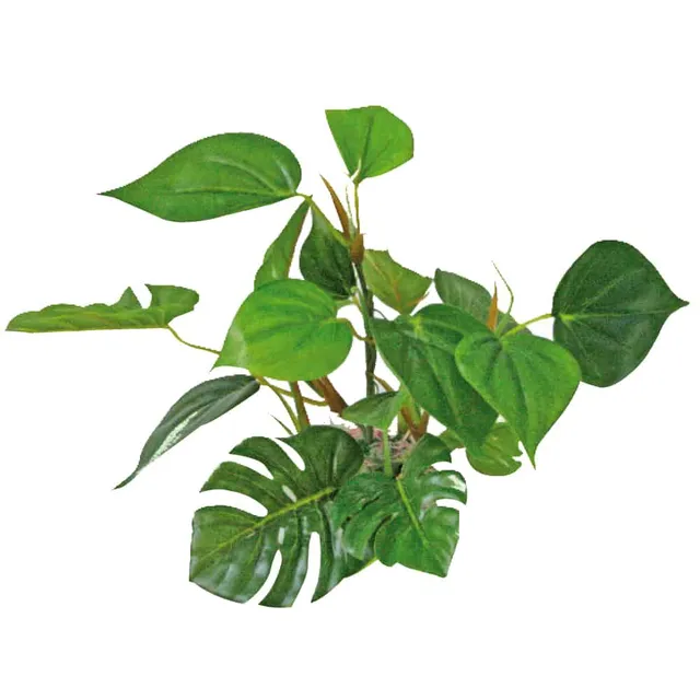 amtra-reef-rock-anubias-20-cm-plante-artificielle-aquarium image 1