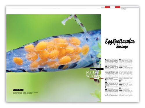 dennerle-plants-breeders-keepers-magazine-crevettes-vol-1 image 4