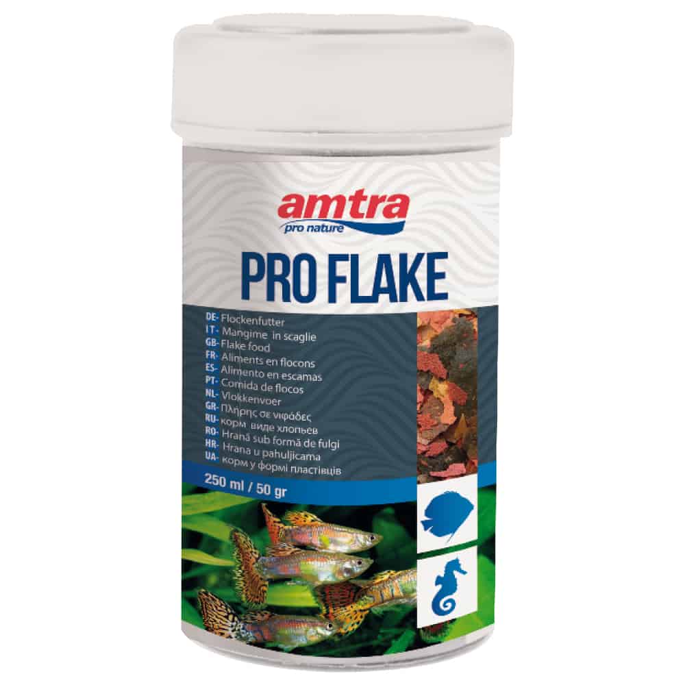 amtra-pro-flake-nourriture-poisson-paillettes-ail image 3