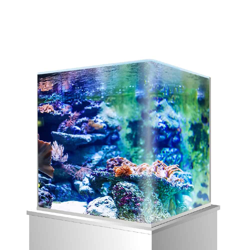amtra-nanotank-system-aquarium-verre-30-l image 3