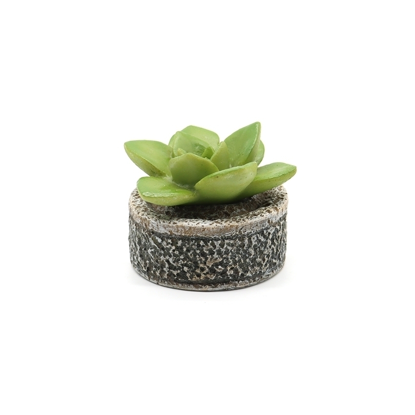 amtra-succulent-d-co-aquarium-r-sine-couleur-assortie image 2