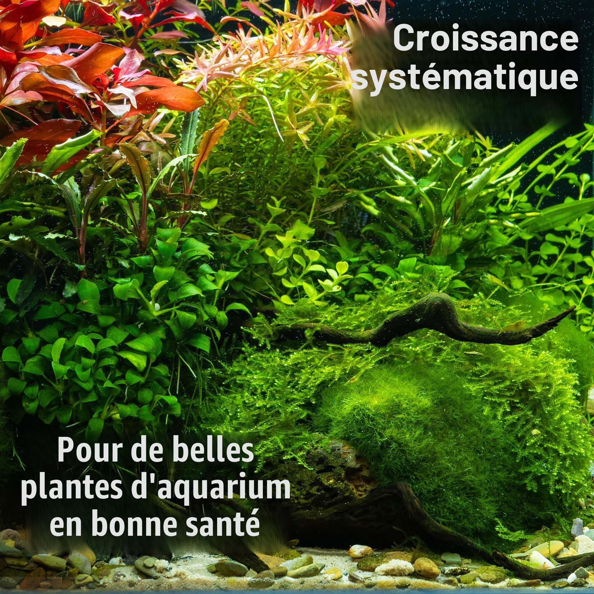 dennerle-plant-system-set-nano-kit-engrais-aquarium image 3