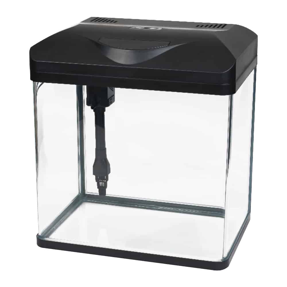 amtra-laguna-led-aquarium-verre-18-litres-avec-filtre image 3