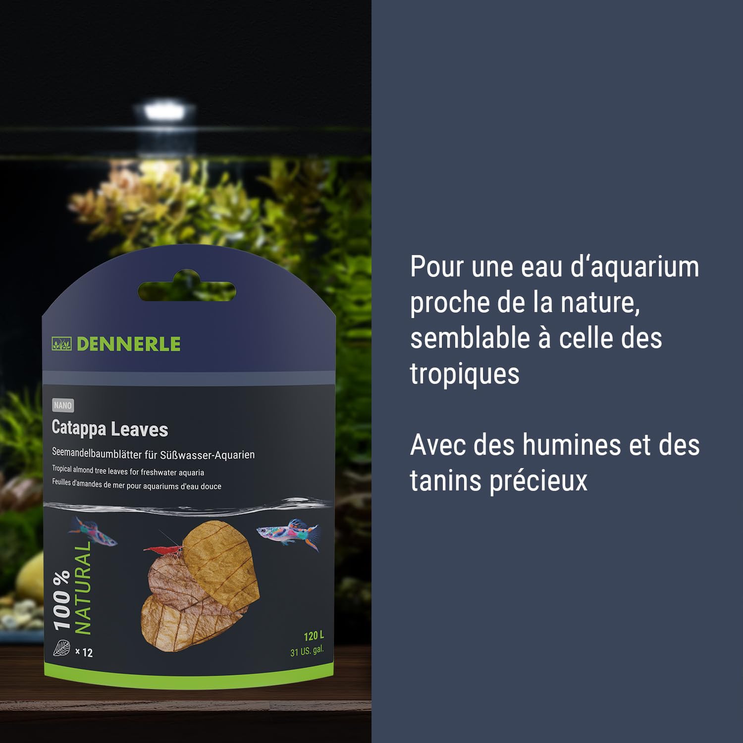 dennerle-nano-catappa-leaves-feuilles-badamier-naturelles image 4
