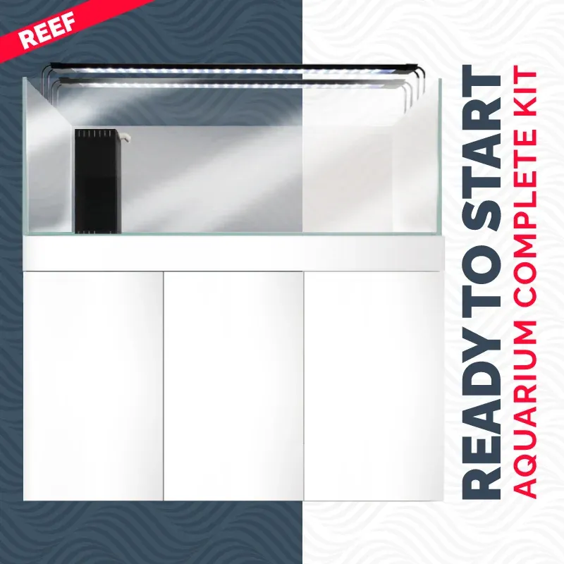 amtra-station-tank-120-reef-aquarium-marin-300-l-complet image 1