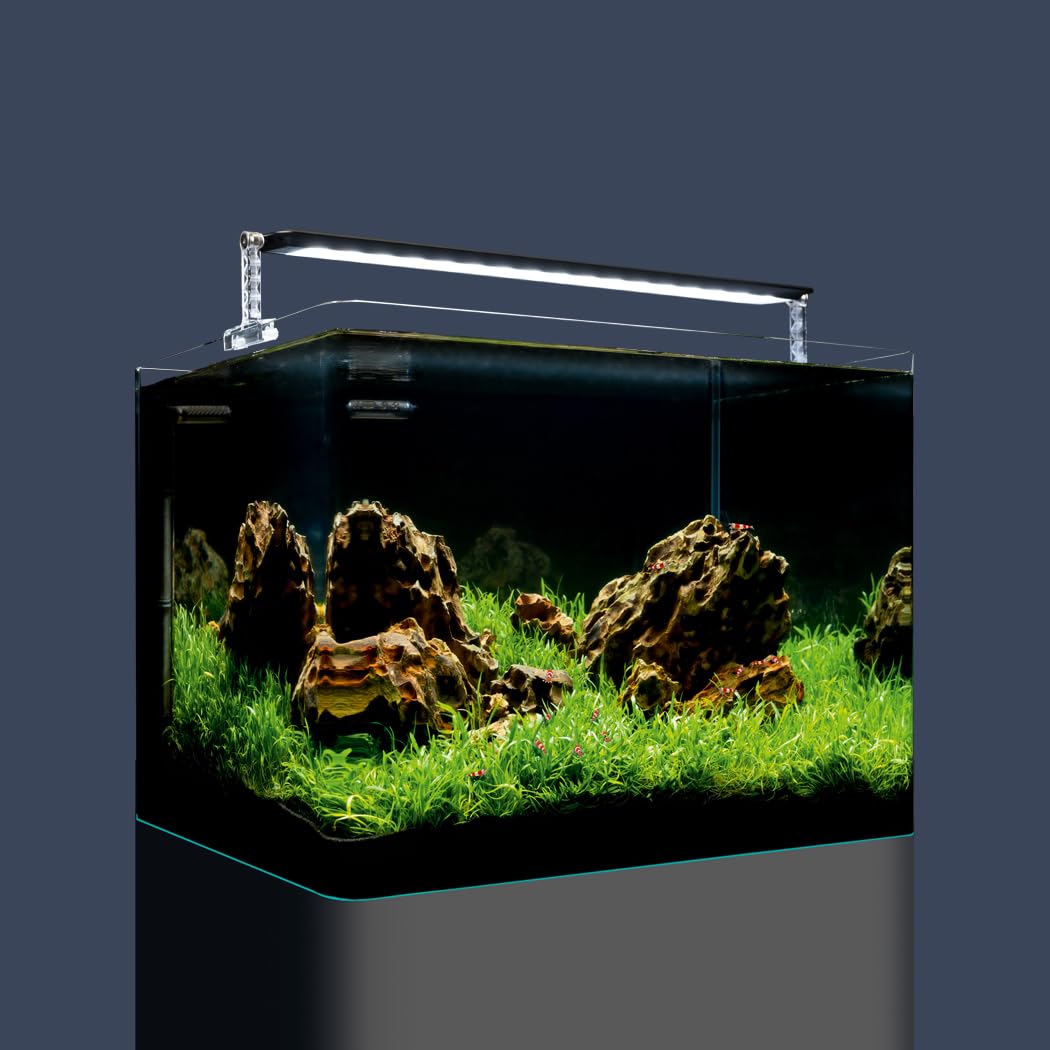dennerle-nano-tank-basic-55-l-aquarium-verre-55-litres image 2