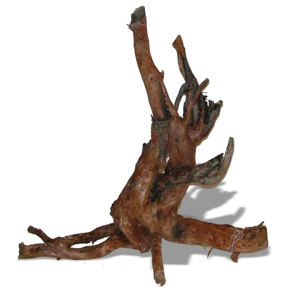 amtra-moorwood-racine-naturelle-aquarium-sm-15-25-cm image 1