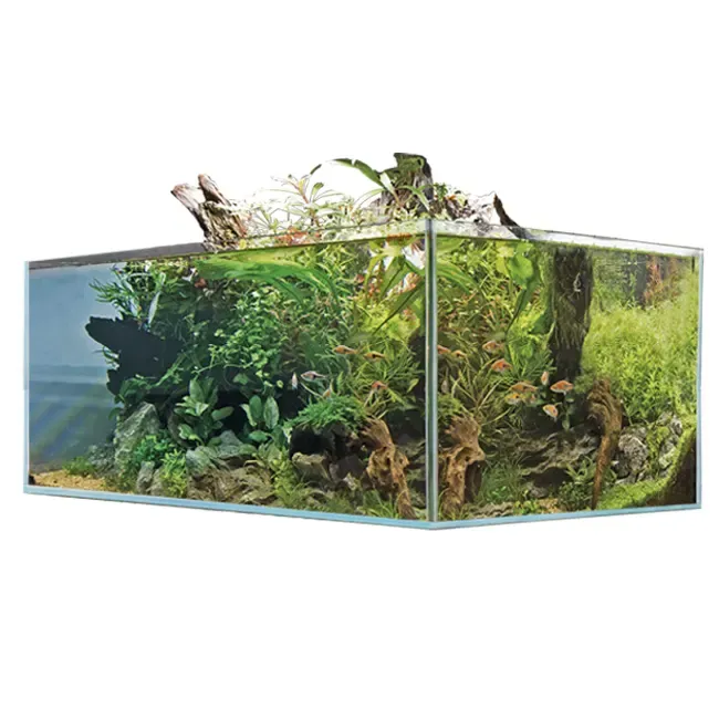amtra-alux-shallow-75x50x30-aquarium-verre-extra-clair-110-l image 1