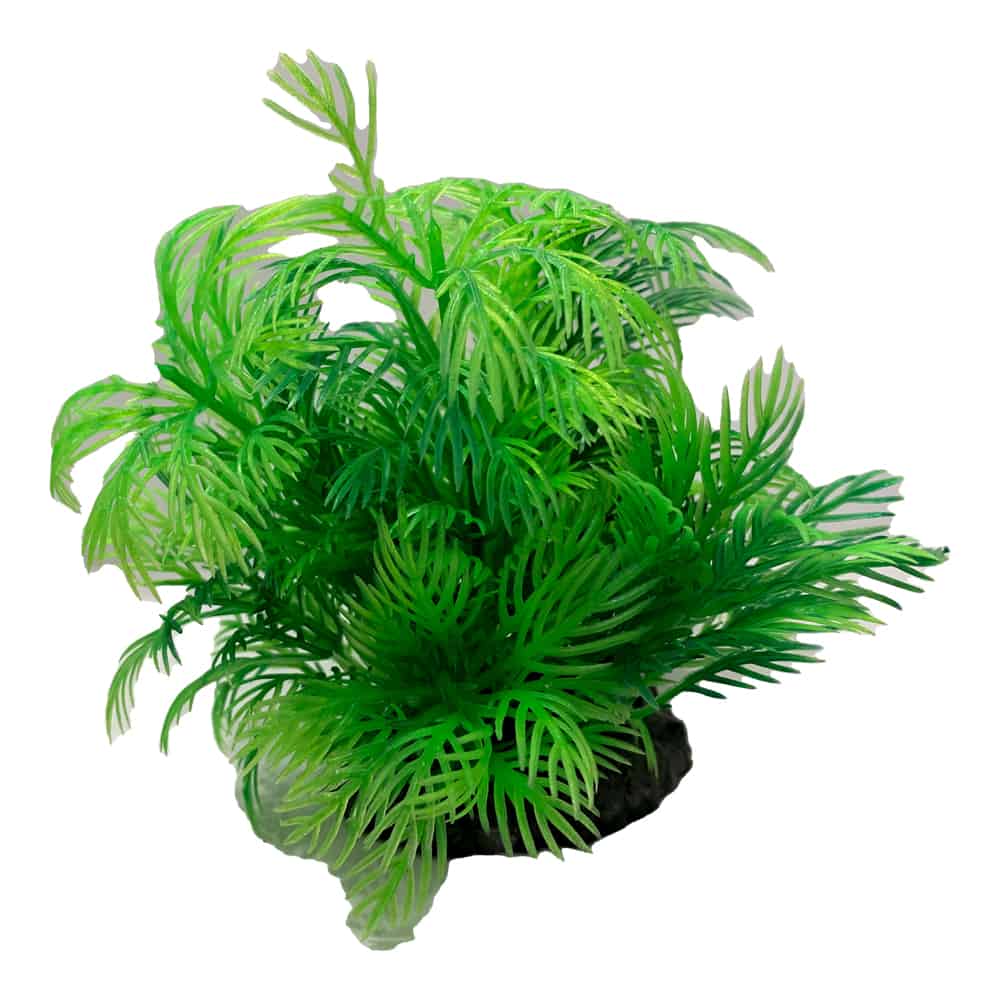 amtra-tropical-plant-plante-artificielle-8-cm-d-cor image 4