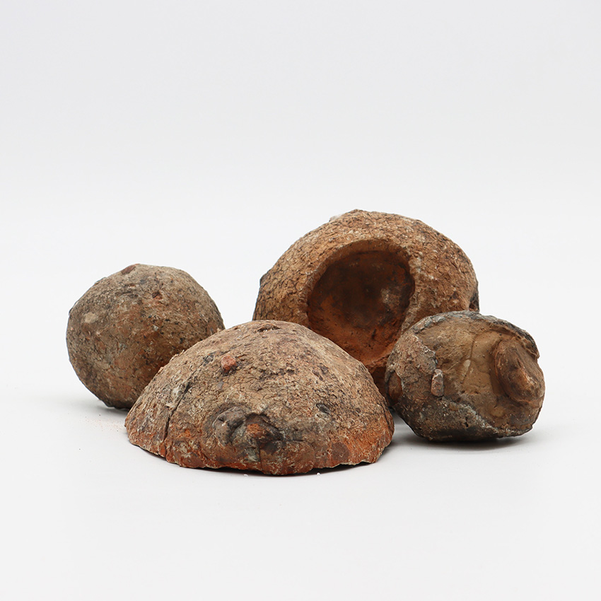 amtra-frost-uova-dinosauro-roche-aquarium-naturelle-0-6-2-kg image 3