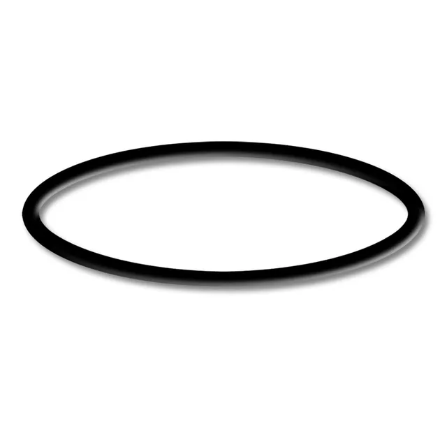 sunsun-cpp-5000f-joint-torique-3-pi-ce-pompe-piscine image 1
