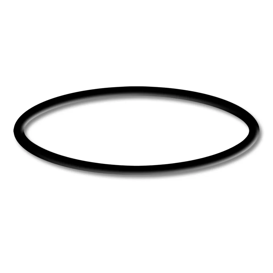 sunsun-cpp-5000f-joint-torique-3-pi-ce-pompe-piscine image 1