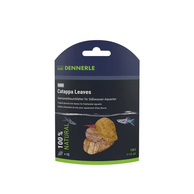 dennerle-nano-catappa-leaves-feuilles-badamier-naturelles image 1