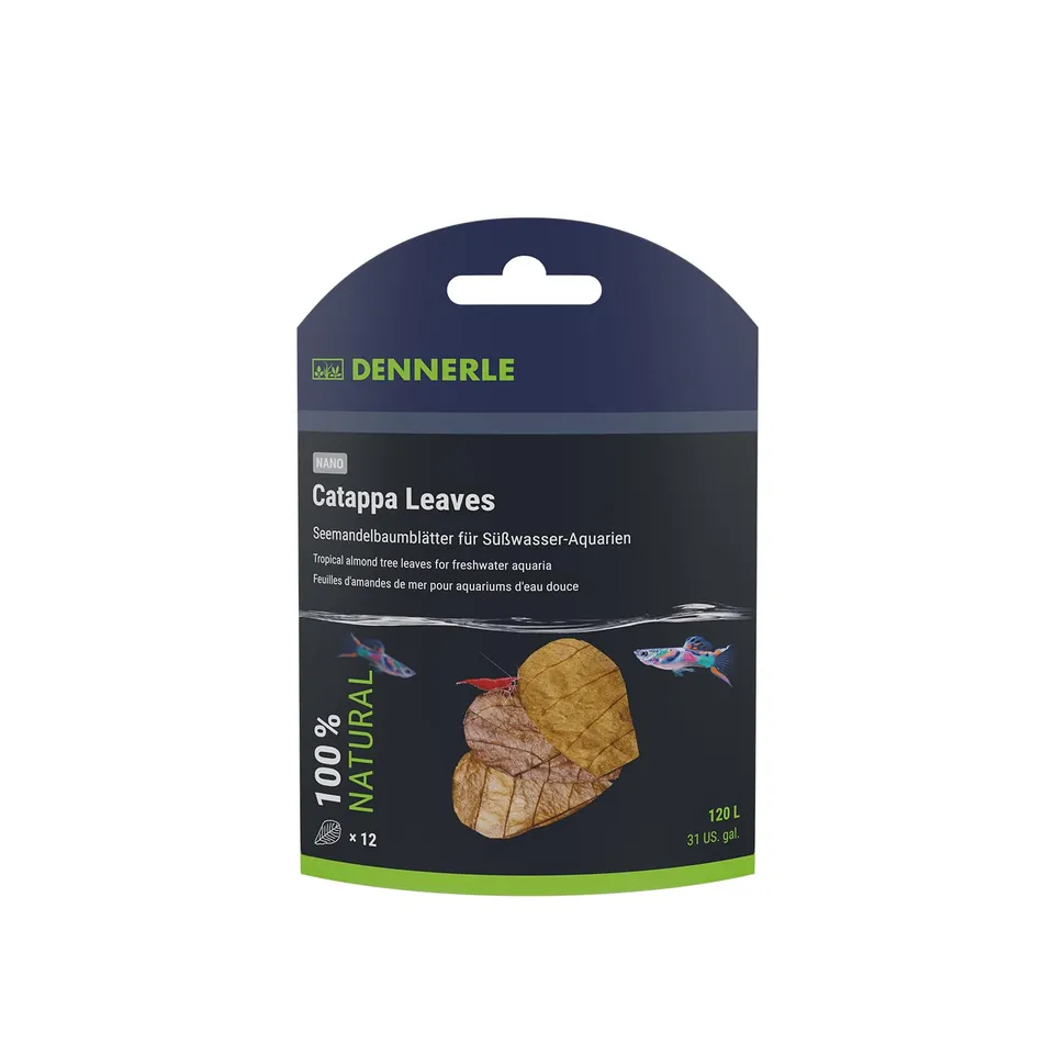 dennerle-nano-catappa-leaves-feuilles-badamier-naturelles image 1