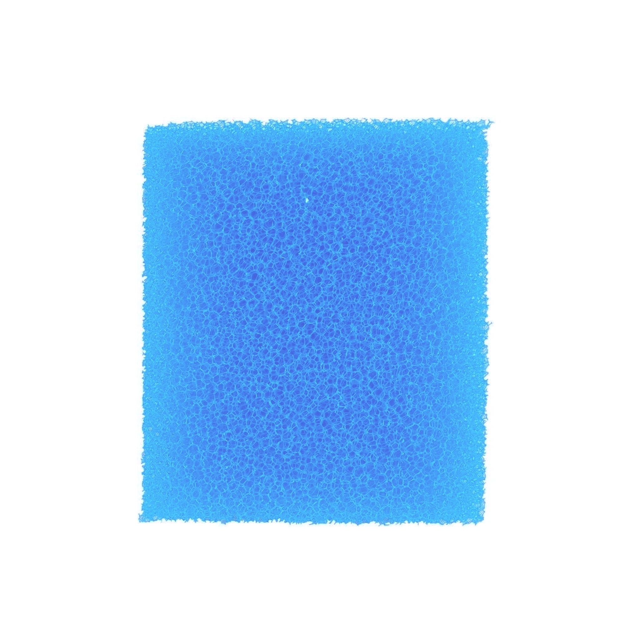 amtra-biocell-blue-foam-mousse-filtrante-18x12x6-cm-fine image 2
