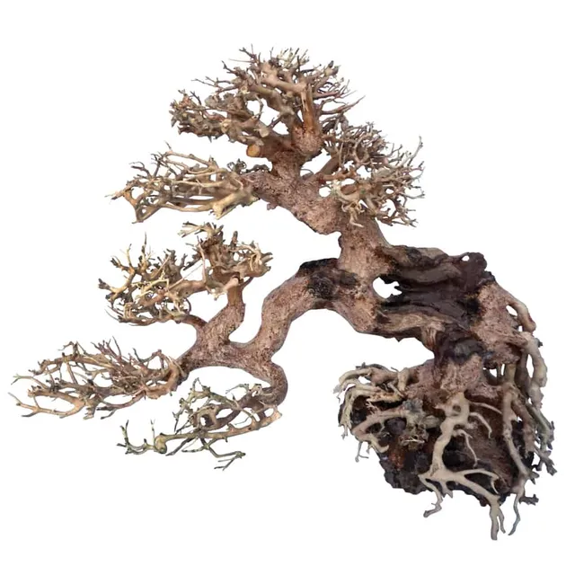 amtra-reef-rock-oriental-wind-7-racine-aquarium-bois image 1
