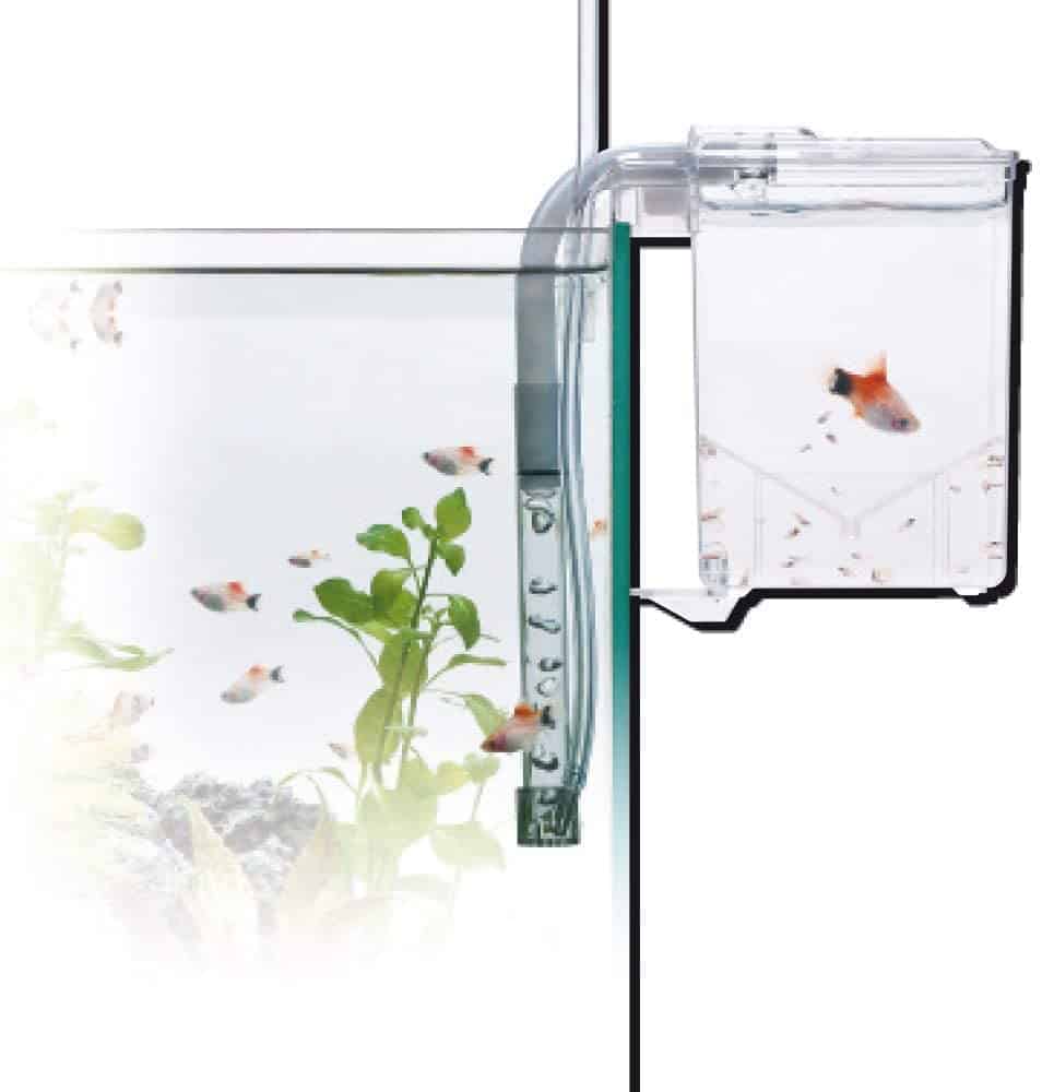 amtra-algen-scraper-pondoir-externe-aquarium-hang-on-alevins image 5