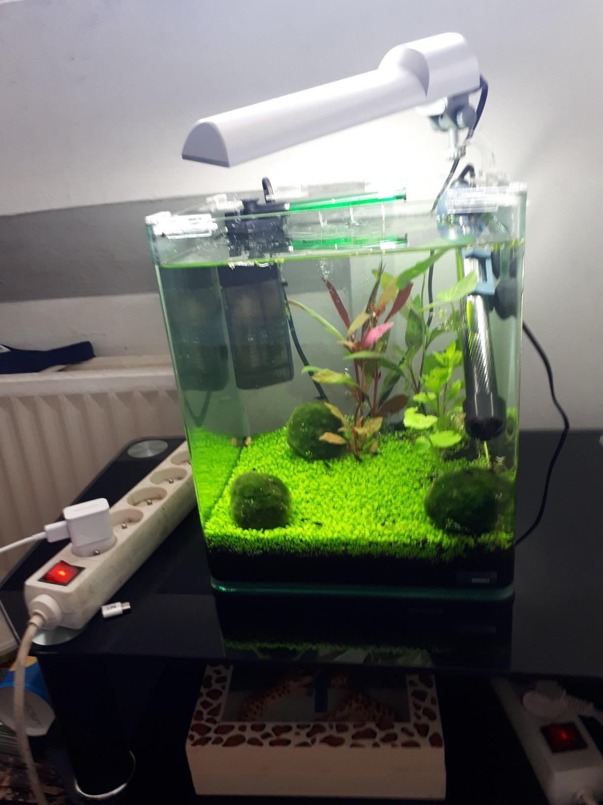 Eau stable