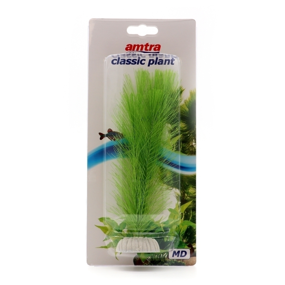 amtra-plant-classic-blyxa-plante-aquarium-verte image 2
