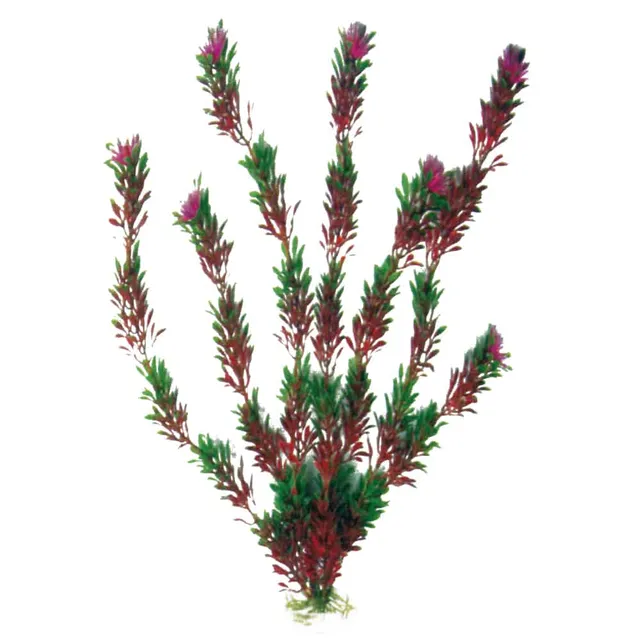 amtra-reef-rock-plant-classic-flora-plante-artificielle-bicolore image 1