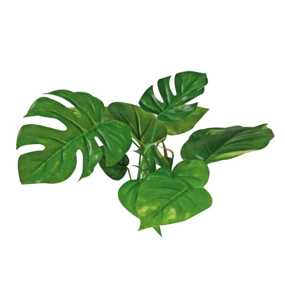 amtra-reef-rock-anubias-15-cm-plante-artificielle-aquarium image 1