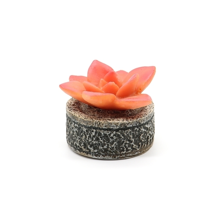 amtra-succulent-d-co-aquarium-r-sine-couleur-assortie image 4