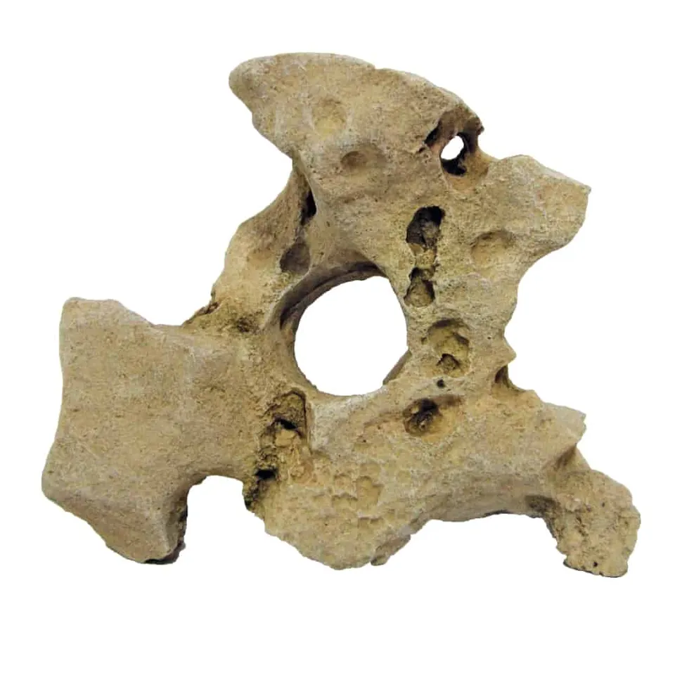amtra-reef-rock-d-cor-r-sine-gallura-beige-trou-s image 1